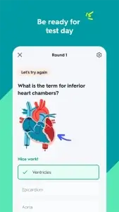 تحميل تطبيق Quizlet Premium مهكر Apk آخر تحديث للأندرويد 2025 3