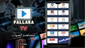 تحميل تطبيق فلاكة تيفي Fallaka TV مهكر Apk آخر تحديث للأندرويد والآيفون 2025 1